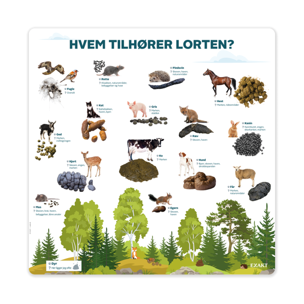 Lringstavle - Hvem tilhrer lorten